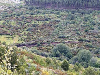 UNA PROLONGACION DE LA PISTA FORESTAL UNE EL MARIAL CON LOS QUEMALES